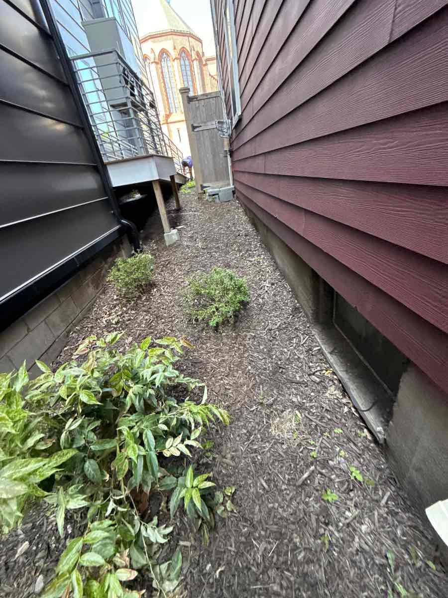 Before: a tired Boston side bed with thin, faded mulch.