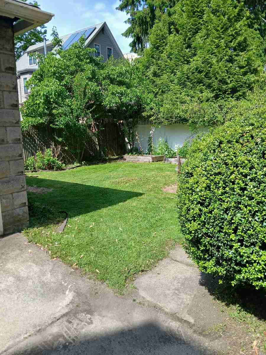 A Somerville backyard after a spring cleanup visit.