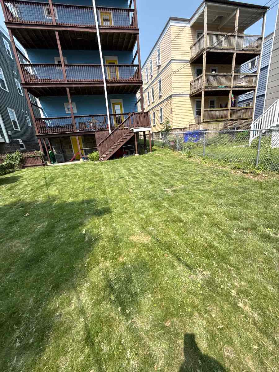 A freshly mowed Boston backyard at the start of the season.