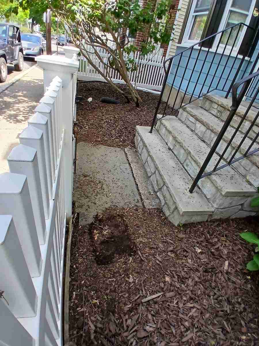 Cleared beds with fresh mulch after a spring cleanup in Cambridge.